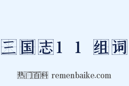三国志11组词是什么意思的图片